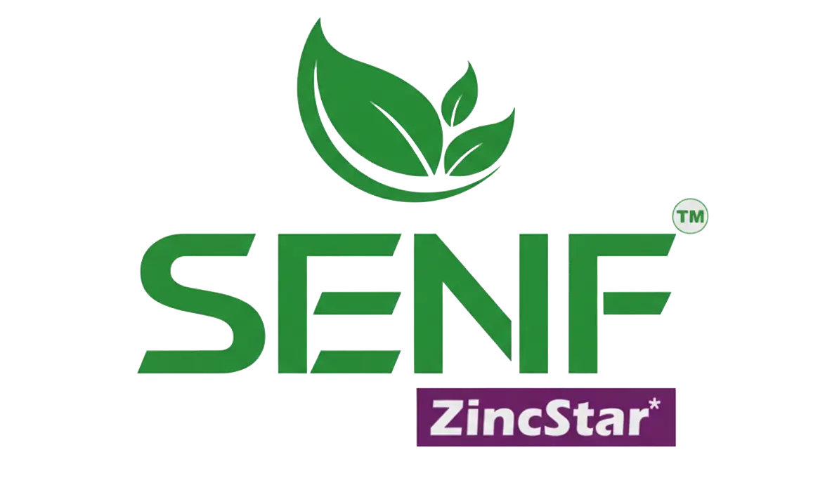 Shiv shakti fabrication